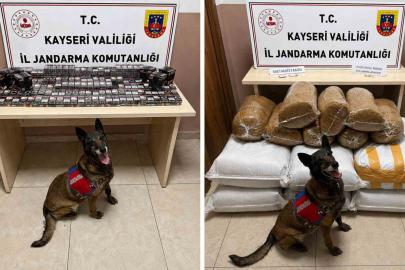 Jandarmadan uyuşturucu ve kaçakçılık operasyonu: 200 kilogram kaçak tütün ele geçirildi