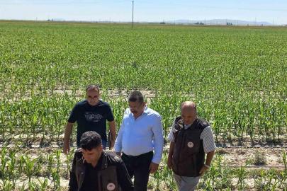 Karapınar’da dolu afetinin etkilediği alanlarda inceleme