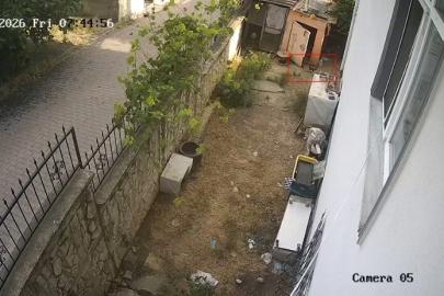 Karganın yumurta hırsızlığı kameraya yansıdı