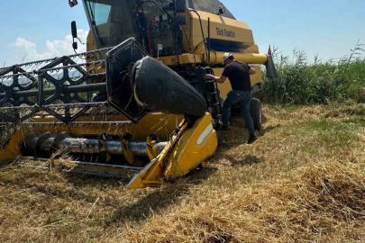 Köşk’te hububat hasadında dane kaybına karşı sıkı denetim