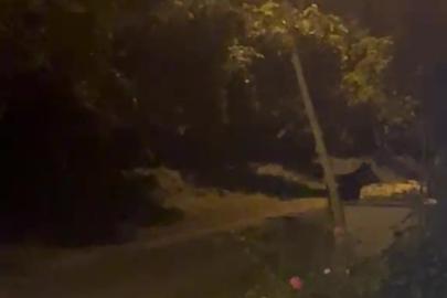 Köye inen ayı köylülere heyecan ve korku yaşattı