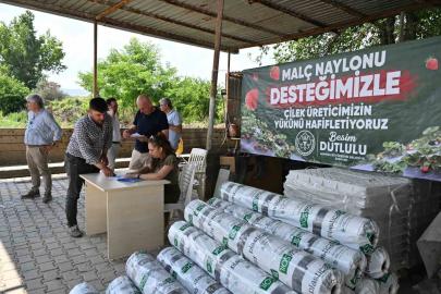 Manisa Büyükşehir’den çilek üreticilerine malç naylonu desteği