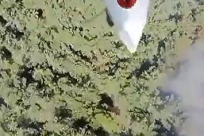 Manisa’daki orman yangını kontrol altına alındı