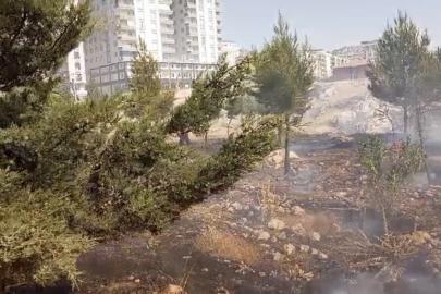 Mardin’de farklı noktalarda çıkan yangınlara müdahale sürüyor