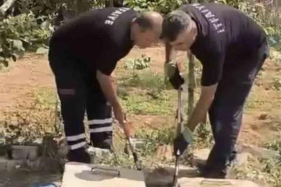 Mardin’de kuyuda görülen yılan doğaya bırakıldı