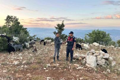 Mersin’de kayıp 40 küçükbaş dronla bulundu