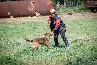 Muğla NAK Arama Kurtarma Köpekleri Macaristan’da sahaya indi