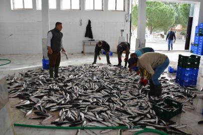 Muğla’nın Mayıs ayı ihracatı 107 milyon dolar
