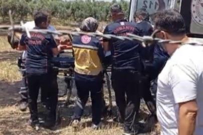 Osmaniye’de anız yangını meyve bahçelerine sıçradı: 1 kişi hastanelik oldu