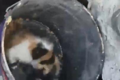 Osmaniye’de balyozla genişletilen kuyudan yavru kedi kurtarıldı