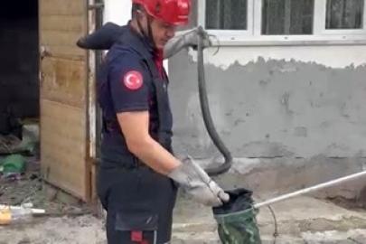 Osmaniye’de evin bahçesinde görülen yılan yakalandı