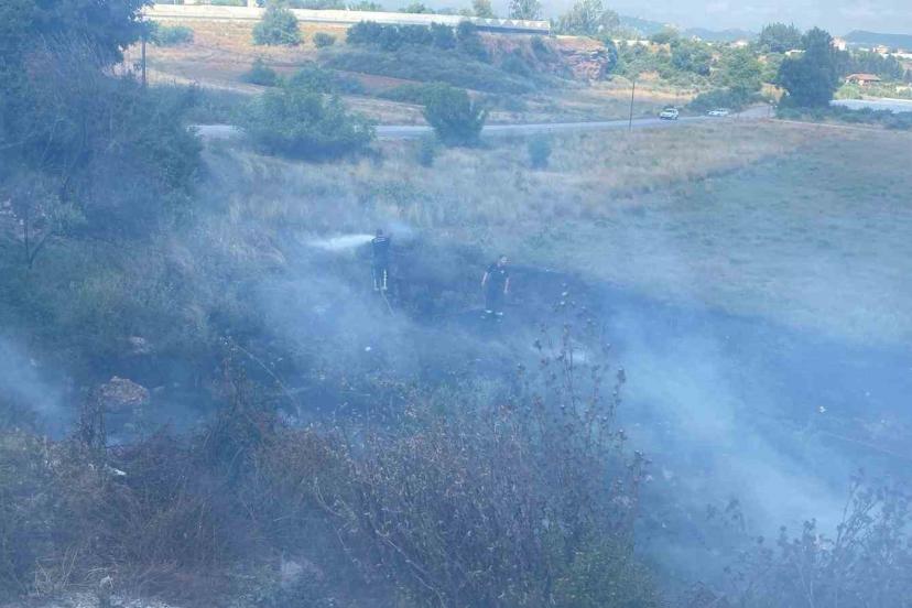 Otluk alanda çıkan yangın seralara sıçramadan söndürüldü