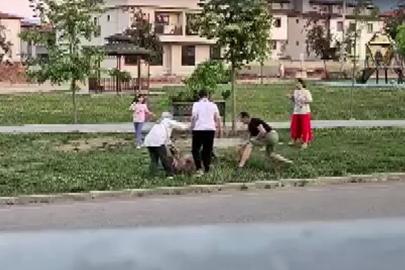 Parkta dolaştırılan köpeğe saldıran başıboş köpek, doktor tarafından etkisiz hale getirildi