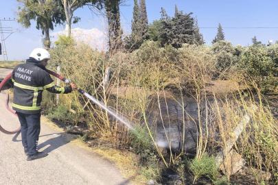 Reyhanlı’da zeytinlik alandan alevler yükseldi