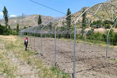 Şırnak’ta sera yatırımları yerinde incelendi