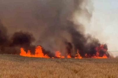 Tekirdağ’da buğday tarlalarına sıçrayan yangında 300 dönüm alan kül oldu