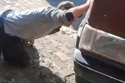 Tokat’ta aracın motor kısmına giren yılanı itfaiye ekipleri kürekle yakaladı