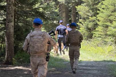 Uludağ’ın zümrüt yeşili ormanları Jandarma’ya emanet
