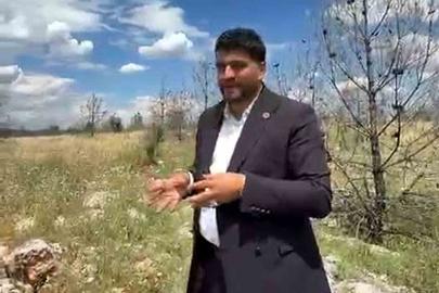 Vatandaşlardan ormanlık alana arazi yolu talebi