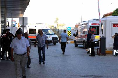 Arı sokmasına bağlı ciddi alerjik reaksiyonlar ölüme sebep olabilir