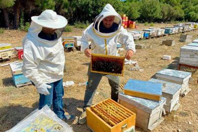Arılı kovan desteği için işletme denetimleri sürüyor