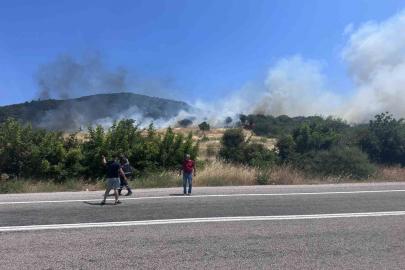 Ayvacık’ta orman yangını