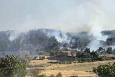 Balıkesir’de orman yangınına müdahale sürüyor