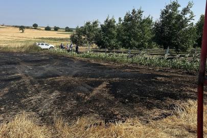 Bandırma’da çıkan anız yangını büyümeden söndürüldü