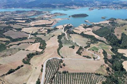 Baraj çevresi bal ormanına dönüşüyor