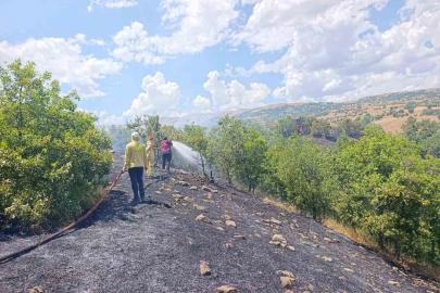 Bingöl’de orman yangını büyümeden söndürüldü