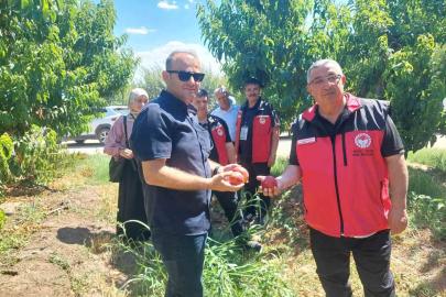 Çanakkale’de bitkisel üretim projeleri değerlendirildi