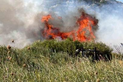 Datça’da makilik alanda yangın: "2 dönüm makilik zarar gördü"