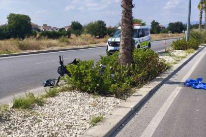 Denizli’de ağaca çarpan motosikletin sürücüsü ağır yaralandı
