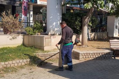 Efeler Belediyesi’nden yeşil alanlarda çalışma