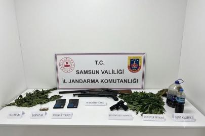 Jandarma uyuşturucu, silah ve kenevir ele geçirildi