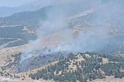 Kahramanmaraş’ta orman yangını