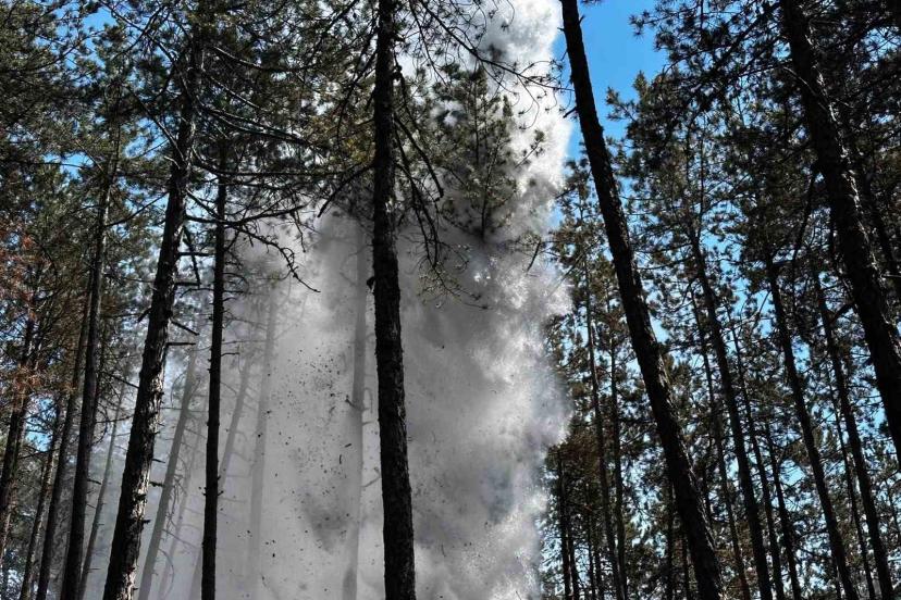 Kastamonu’da orman yangını: Alevlere havadan ve karadan müdahale edildi