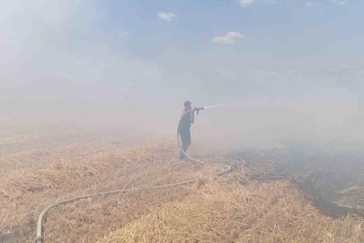 Keşan’da çıkan anız yangınında 100 dekar alan zarar gördü