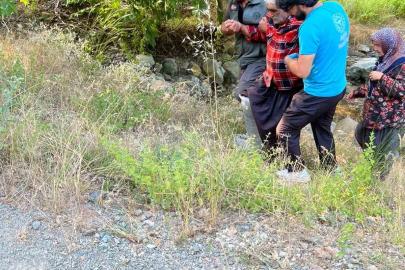 Kozan’da kayalıklardan düşen şahsı orman ekipleri kurtardı