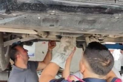 Osmaniye’de otomobilin motoruna sıkışan yavru kedi kurtarıldı