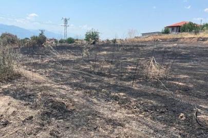 Otluk alanda çıkan yangın büyümeden söndürüldü