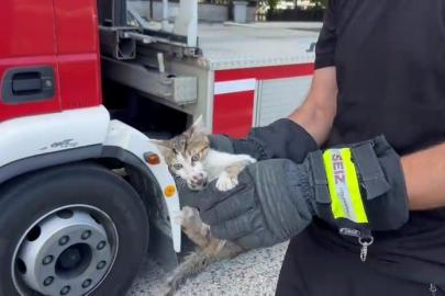 Saatlerce ağaçta bekledi, duyarlı vatandaşın çağrısıyla kurtarıldı