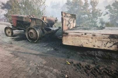 Seydikemer’deki orman yangınında 24 saati aşkın süren mücadelenin ardından acı tablo ortaya çıktı