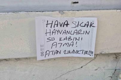 Sokak hayvanlarının su kabını atanlara ilginç tepki: "Atan zındıktır"