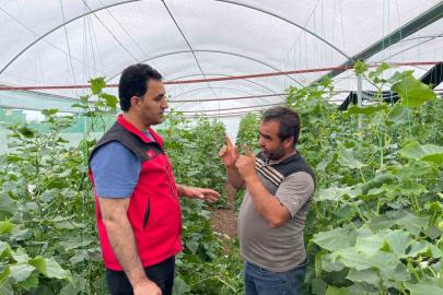 Sulu tarım mevsimlik tarım işçiliğini bitirdi