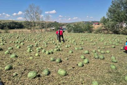 Süper hücre Tekirdağ’ı vurdu: 4 köy zarar gördü