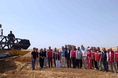 Tekirdağ’da bitkisel yağ üretiminde gıda güvenliği mercek altında