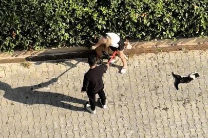 Ağızlıksız gezdirilen Pitbull kediyi parçaladı: Sahibi ’polisi aramayın’ diye yalvardı