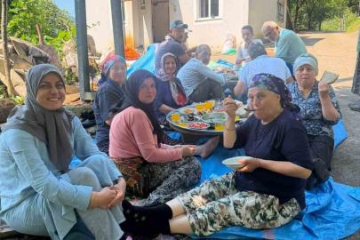 Apar topar İstanbul’a gittiler, yarım kalan fındık hasadını köylüler tamamladı