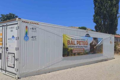 Arıcıların petek kaybına karşı eksi 30 derecelik çözüm